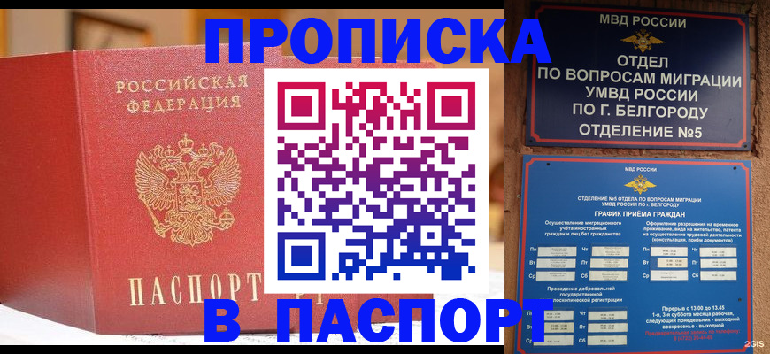 временная регистрация в квартире в Бердске